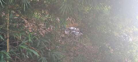 Corpo de paraguaio &eacute; encontrado no Rio Apa ap&oacute;s 9 dias de buscas