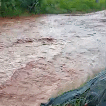 Chuva alaga rua no Noroeste e moradora reclama: "s&oacute; consigo sair de helic&oacute;ptero"