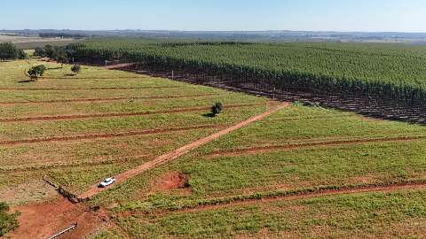 Campo Grande debate caminhos para fortalecer a log&iacute;stica florestal no Estado