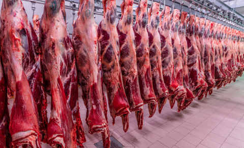 Vietn&atilde; habilita frigor&iacute;fico de MS e amplia exporta&ccedil;&otilde;es de carne bovina do Brasil