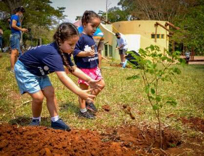 Nova lei torna a educa&ccedil;&atilde;o ambiental obrigat&oacute;ria nas escolas p&uacute;blicas e privadas
