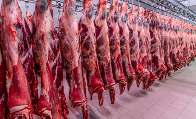 Vietn&atilde; habilita frigor&iacute;fico de MS e amplia exporta&ccedil;&otilde;es de carne bovina do Brasil