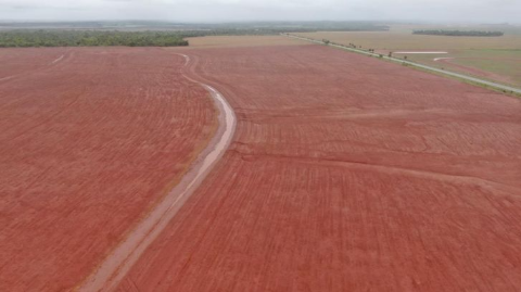 Setor rural absorve 75% dos recursos do FCO em Mato Grosso do Sul