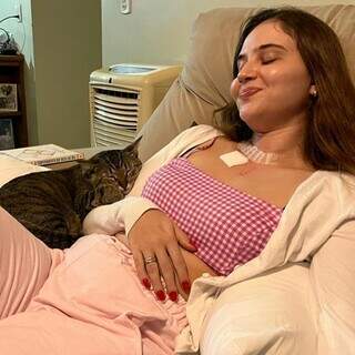 Família procura gato que foi companheiro de médica em tratamento contra câncer Família procura gato que foi companheiro de médica em tratamento contra câncer