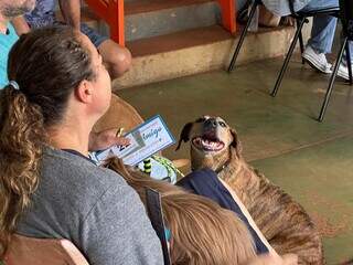 Em Eldorado, Caravana da Castra&ccedil;&atilde;o volta no pr&oacute;ximo dia 15