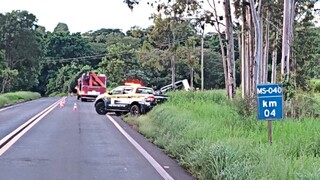 Caminh&atilde;o sai da pista, bate em &aacute;rvore e fica destru&iacute;do na MS-040