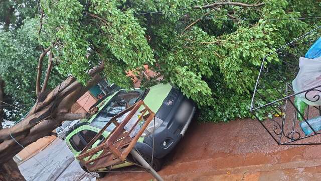 &Aacute;rvore cai sobre carro durante temporal em Campo Grande