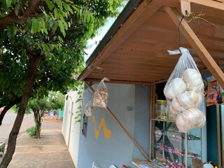 Sem a farda, Ram&atilde;o investiu no alho argentino na cal&ccedil;ada de casa 