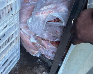 A&ccedil;ougue fechado pela Decon tinha 2,2 toneladas de carne impr&oacute;pria para o consumo