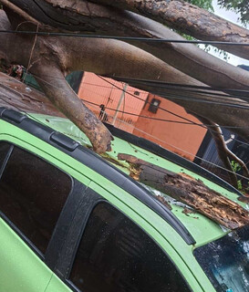 &Aacute;rvore cai sobre carro durante temporal em Campo Grande