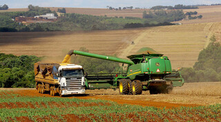 Safra recorde consolida MS entre os seis maiores produtores de gr&atilde;os do pa&iacute;s