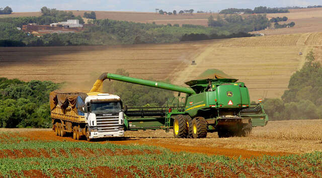 Safra recorde consolida MS entre os seis maiores produtores de gr&atilde;os do pa&iacute;s