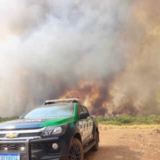 A&ccedil;&otilde;es preventivas impulsionam queda hist&oacute;rica de 72,7% nos focos de calor em MS