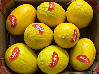 Frutas premium percorrem milhares de quil&ocirc;metros e chegam frescas &agrave; mesa