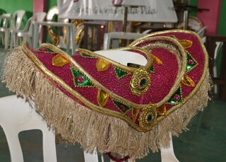 Entre penas e samba, Vila Carvalho transforma desfile em alerta ambiental