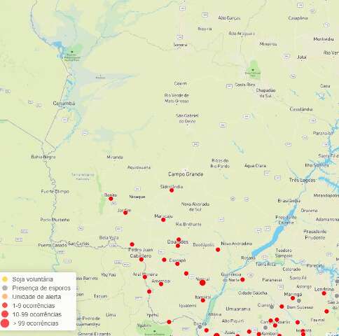 Casos disparam em janeiro e ferrugem asi&aacute;tica na soja chega a 55 registros em MS