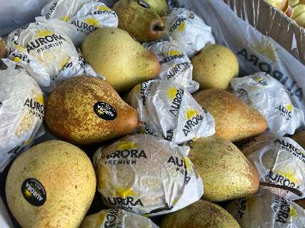 Frutas premium percorrem milhares de quil&ocirc;metros e chegam frescas &agrave; mesa