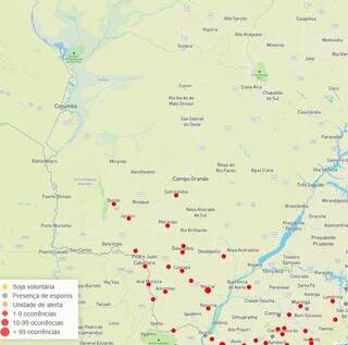 Casos disparam em janeiro e ferrugem asi&aacute;tica na soja chega a 55 registros em MS