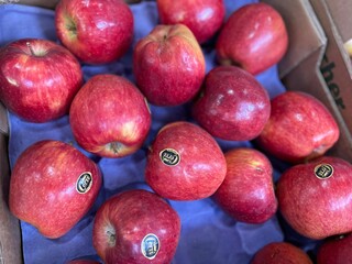 Frutas premium percorrem milhares de quil&ocirc;metros e chegam frescas &agrave; mesa