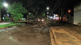 &Aacute;rvore cai sobre motociclista e mulher &eacute; atingida por raio durante temporal