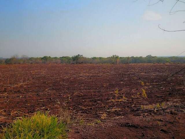 Acordo prev&ecirc; recupera&ccedil;&atilde;o de &aacute;rea desmatada em fazenda de Ponta Por&atilde;