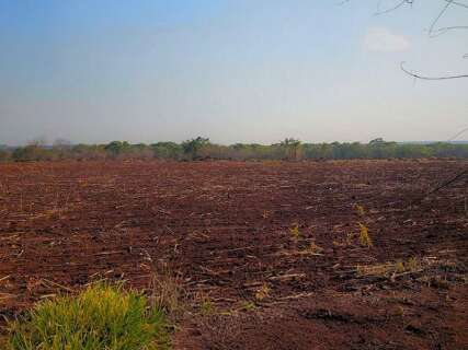 Acordo prev&ecirc; recupera&ccedil;&atilde;o de &aacute;rea desmatada em fazenda de Ponta Por&atilde;