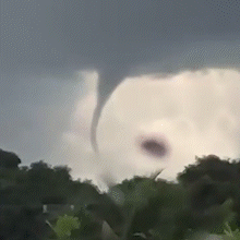 Nuvem funil e sonho da Casa Barco lideram visualiza&ccedil;&otilde;es na semana