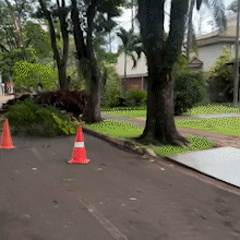 Ventania derruba &aacute;rvores em Dourados e deixa motociclista ferido