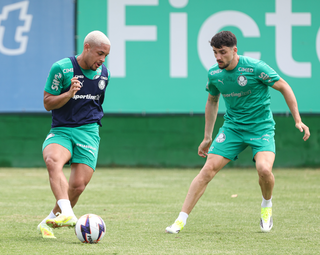 Rodada de estaduais tem jogos de Palmeiras, Fluminense e Flamengo