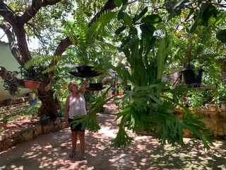 Atr&aacute;s do port&atilde;o, Doraci guarda "quintal secreto" at&eacute; com p&eacute; de caju 