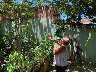 Atr&aacute;s do port&atilde;o, Doraci guarda "quintal secreto" at&eacute; com p&eacute; de caju 