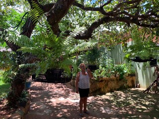 Atr&aacute;s do port&atilde;o, Doraci guarda "quintal secreto" at&eacute; com p&eacute; de caju 