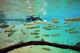Festival de Ver&atilde;o transforma Jardim em destino certo para curtir 