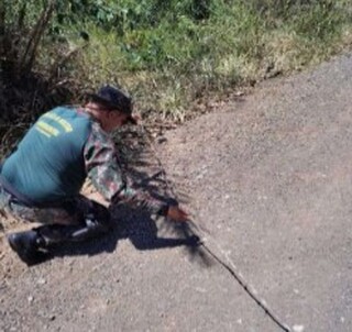 Concession&aacute;ria recorre de multa por inc&ecirc;ndio que atingiu s&iacute;tios em Bodoquena