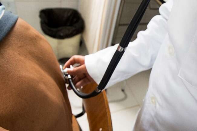 Justi&ccedil;a libera notas e exame revela p&eacute;ssimo desempenho de faculdades de Medicina