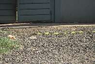 Briga familiar termina com vigilante morto asfixiado por genro