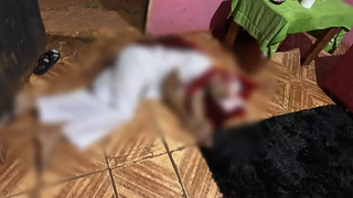 C&uacute;mplice marcou consulta antes de morte de tar&oacute;logo, informa MP