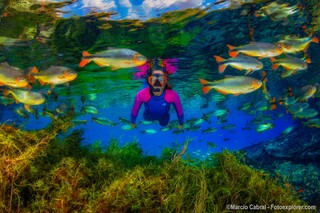 Festival de Ver&atilde;o transforma Jardim em destino certo para curtir 