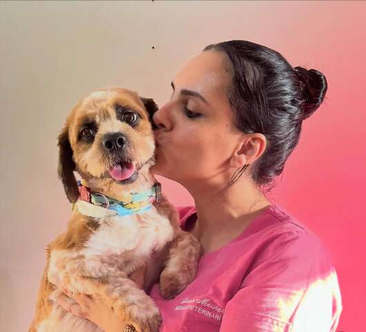 M&eacute;todo de vacina&ccedil;&atilde;o sem dor reduz medo e ansiedade de c&atilde;es e gatos