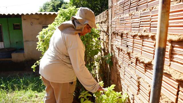 Em ano de prov&aacute;vel epidemia de dengue, todos os munic&iacute;pios ter&atilde;o visitas em casa
