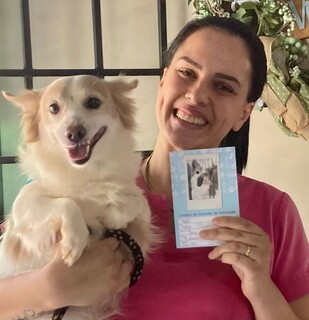 M&eacute;todo de vacina&ccedil;&atilde;o sem dor reduz medo e ansiedade de c&atilde;es e gatos