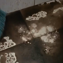 Moradores dos Novos Estados s&atilde;o surpreendidos com &aacute;gua suja em casa