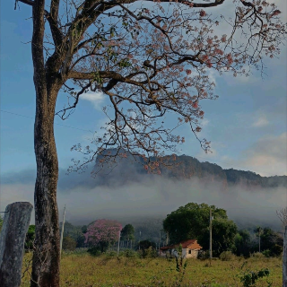 Entre as nuvens, foto mostra espet&aacute;culo ao amanhecer na regi&atilde;o do Paxixi
