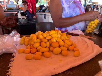 Festa do Pequi chega &agrave; 4&ordf; edi&ccedil;&atilde;o com 3 dias de shows e gastronomia