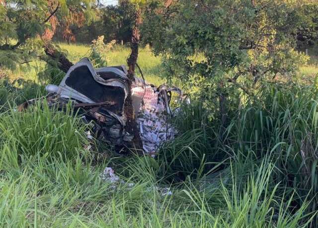 Motorista morre ao atropelar javali e bater SUV lotado de cigarros em &aacute;rvore 