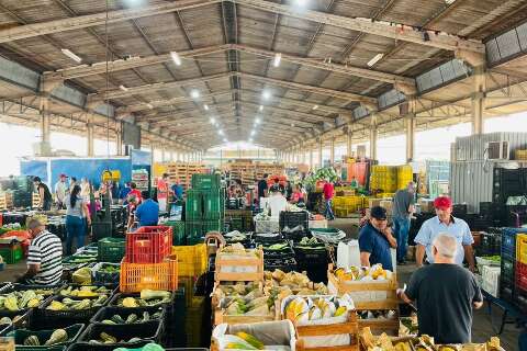 Alimenta&ccedil;&atilde;o: governo vai revisar leis das centrais que abastecem cidades