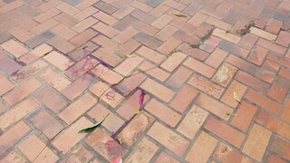 Morador de rua cai, bate a cabe&ccedil;a e morre em pra&ccedil;a 