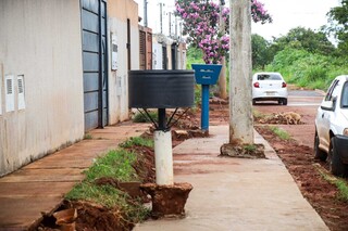 Obra ignora &aacute;rvore com risco de queda e moradores vivem com medo no Noroeste