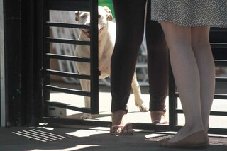 Moradores negam "&aacute;rea do PCC", mas reclamam de sensa&ccedil;&atilde;o de inseguran&ccedil;a 