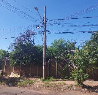 H&aacute; mais de um ano, postes queimados deixam rua do Taveir&oacute;polis no escuro